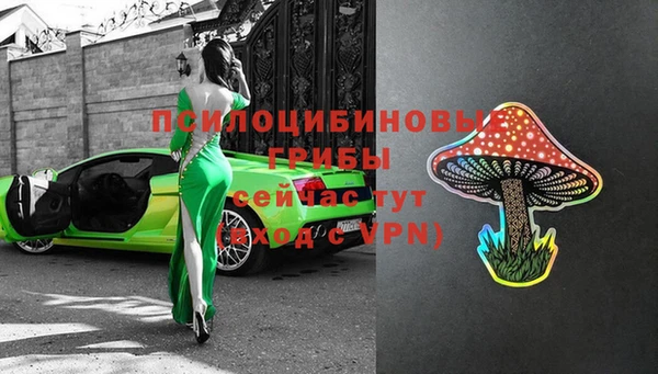apvp Абаза