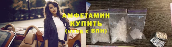 шишки Переславль-Залесский