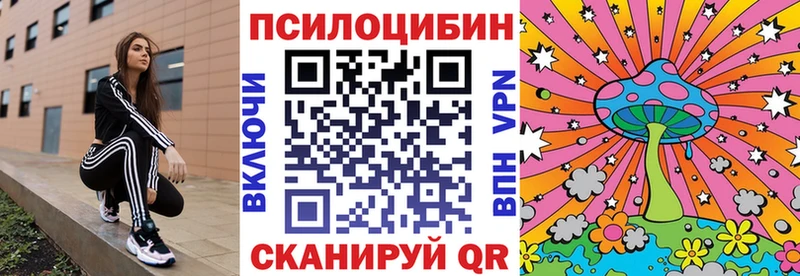 сколько стоит  Донской  Псилоцибиновые грибы MAGIC MUSHROOMS 